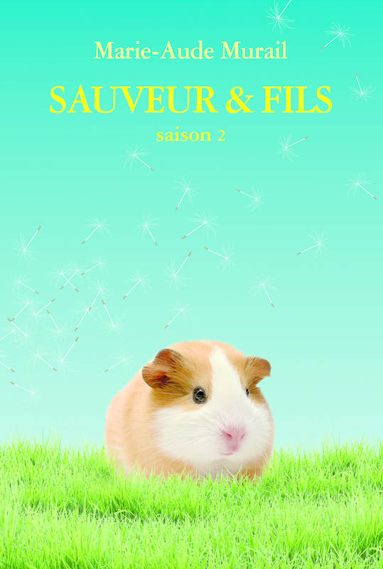 sauveur et fils saison 2
